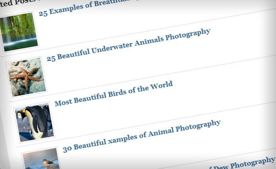 Membuat Postingan Terkait Pada WordPress