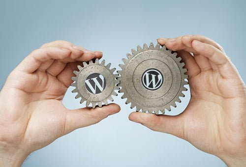 Cara Membuat Website Dengan WordPress Self Hosted