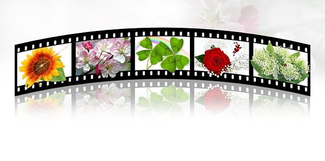 Cara Menghilangkan Logo Watermark Pada Video