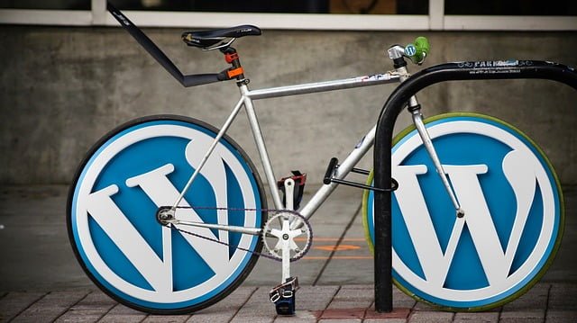 Belajar SEO WordPress Gratis