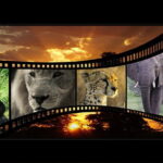 Cara-Edit-Video-Untuk-Pemula (1)