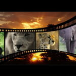 Cara-Potong-Video-dengan-ShotCut