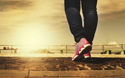 Edit Reverse Motion di Video