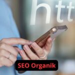 SEO Organik
