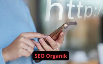 SEO Organik: Cara untuk Meningkatkan Peringkat Website di Google