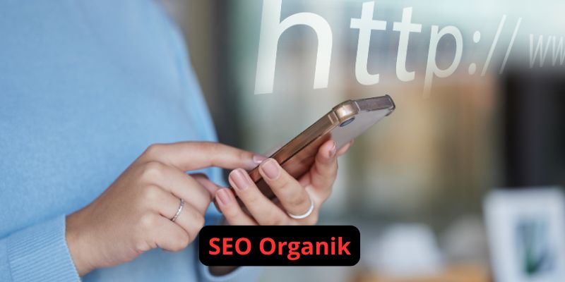 SEO Organik: Cara untuk Meningkatkan Peringkat Website di Google